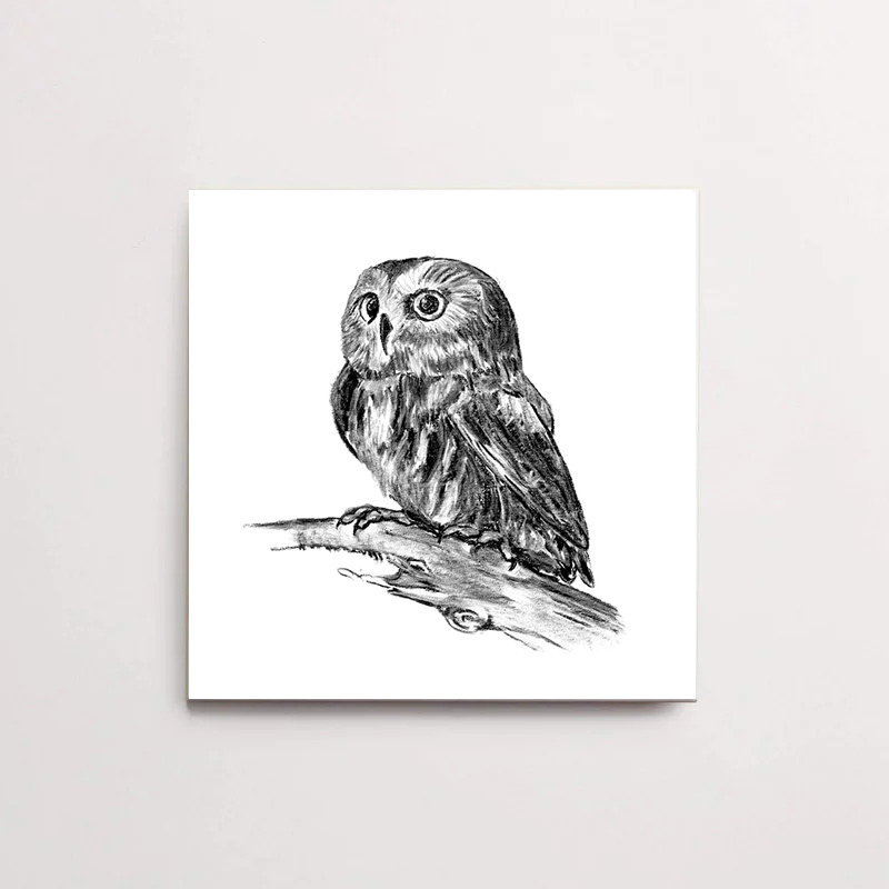Zwart-Wit Tegeltje Uil