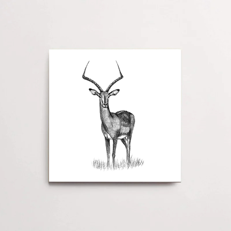 Zwart-Wit Tegeltje Impala
