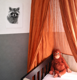 Zwart-Wit Poster Wasbeer