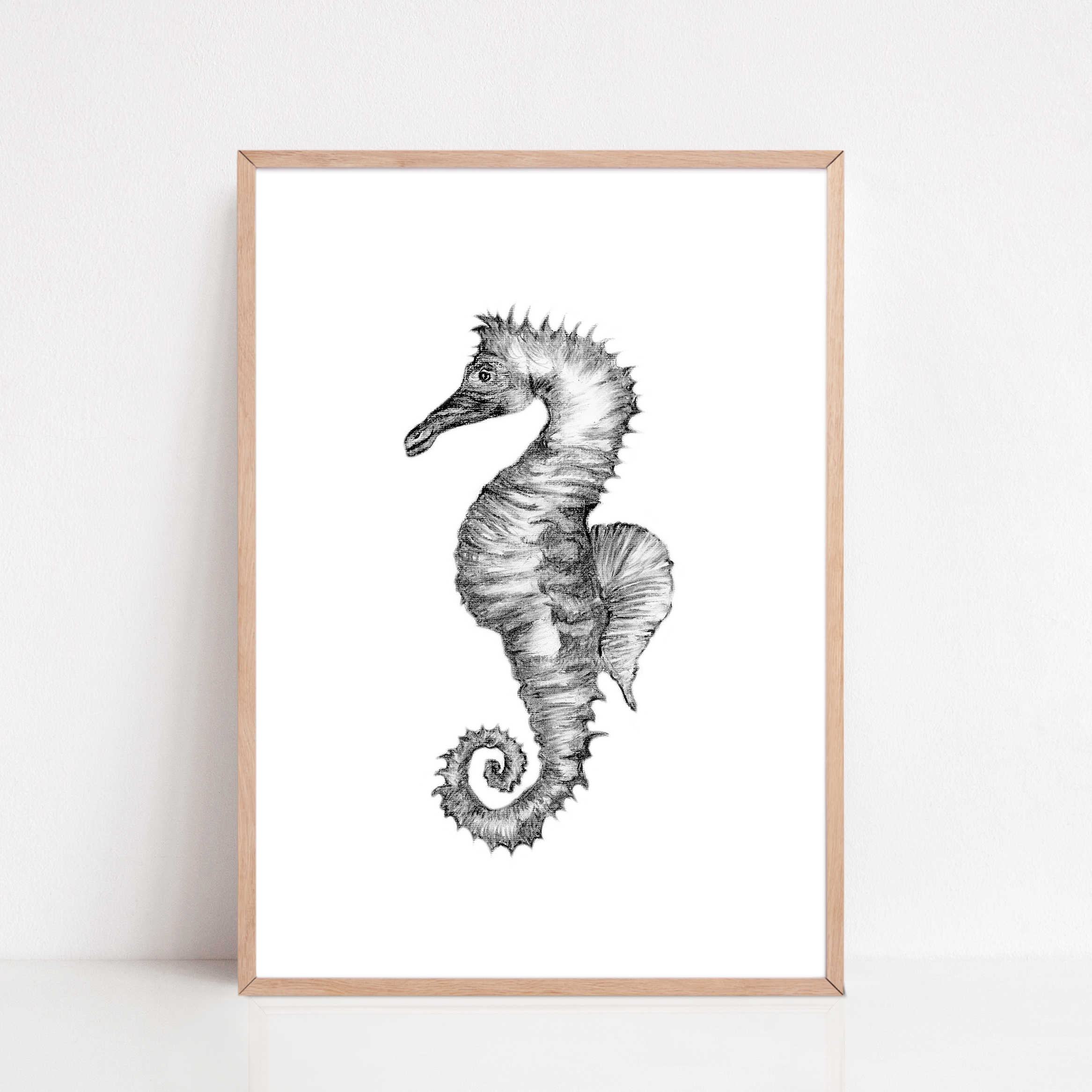 Zwart-Wit Poster Zeepaardje