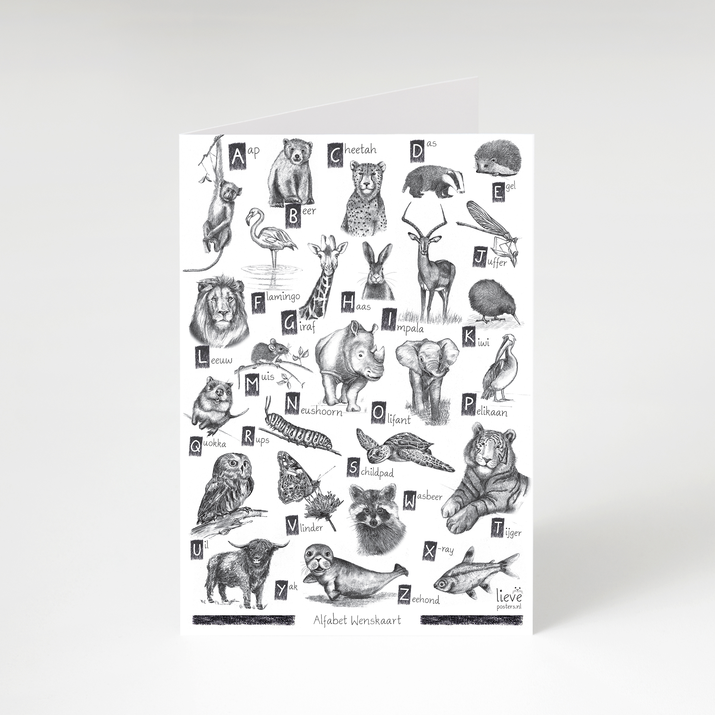 Leerzame Wenskaarten set