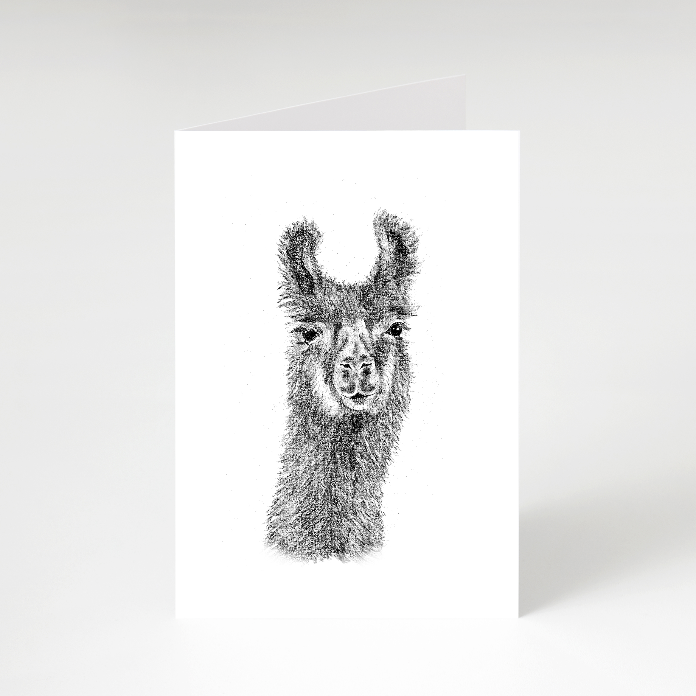 Zwart-Wit Wenskaart Alpaca