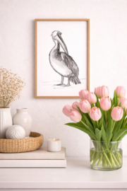 Zwart-Wit Poster Pelikaan
