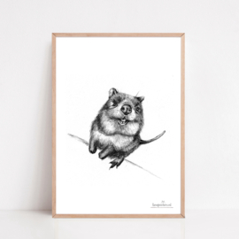 Zwart-Wit Poster Quokka