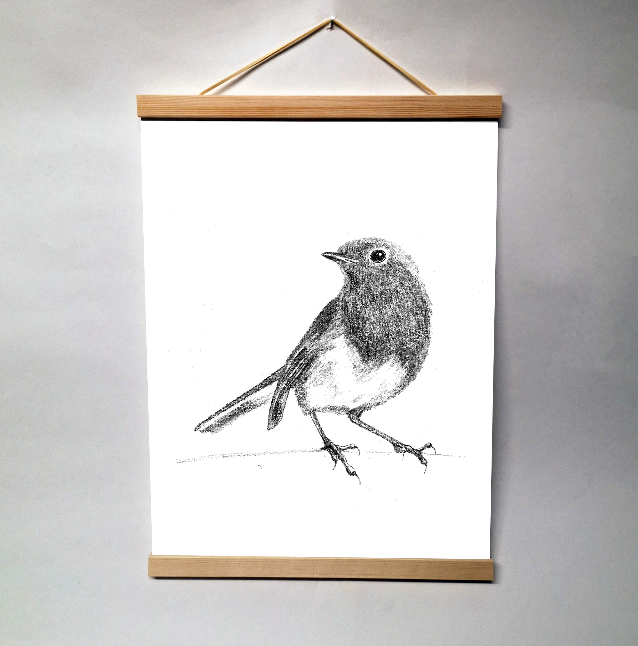 Zwart-Wit Poster Roodborst
