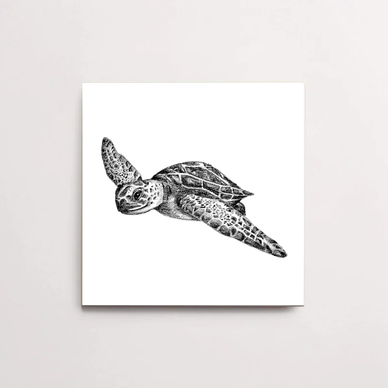 Zwart-Wit Tegeltje Schildpad