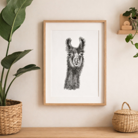 Zwart-Wit Poster Alpaca