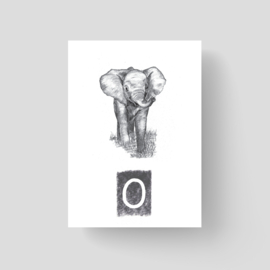 ABCKaart Olifant