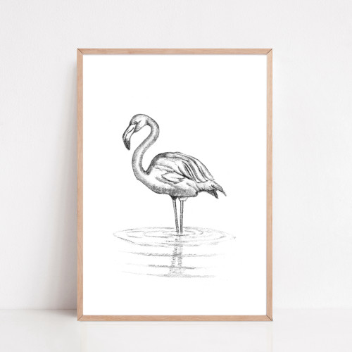 Zwart-Wit Poster Flamingo