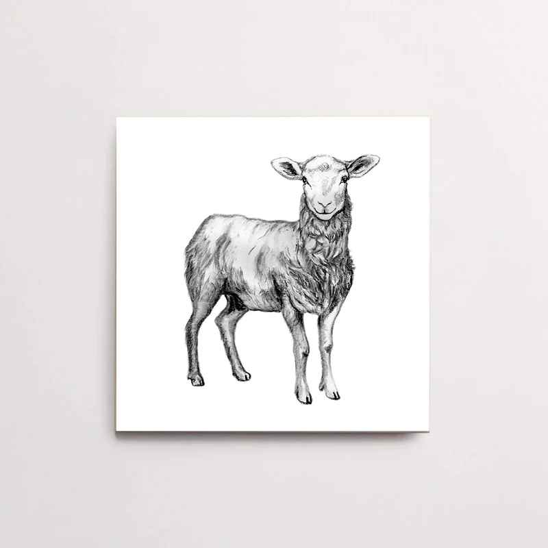 Zwart-Wit Tegeltje Schaap