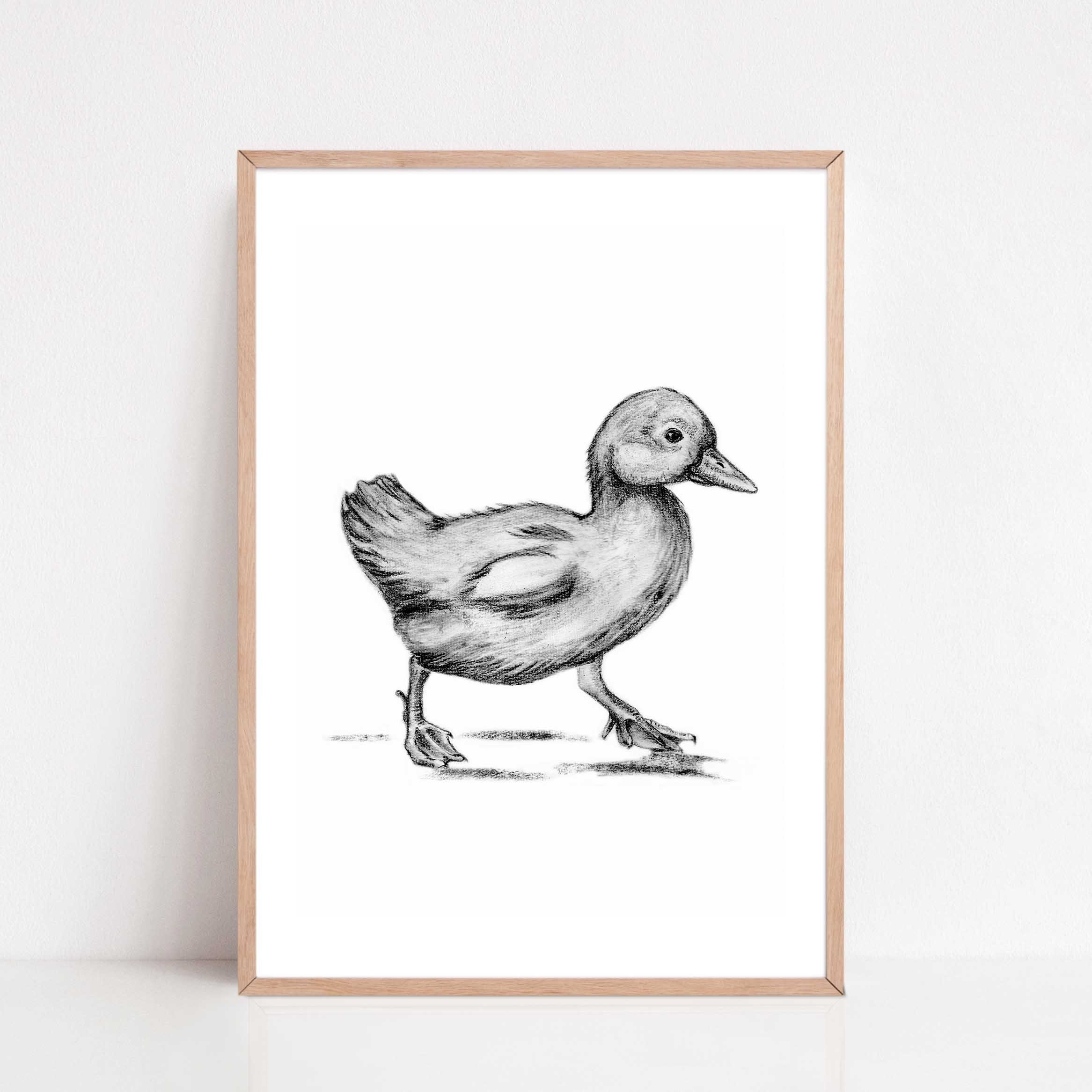 Zwart-Wit Poster Eend