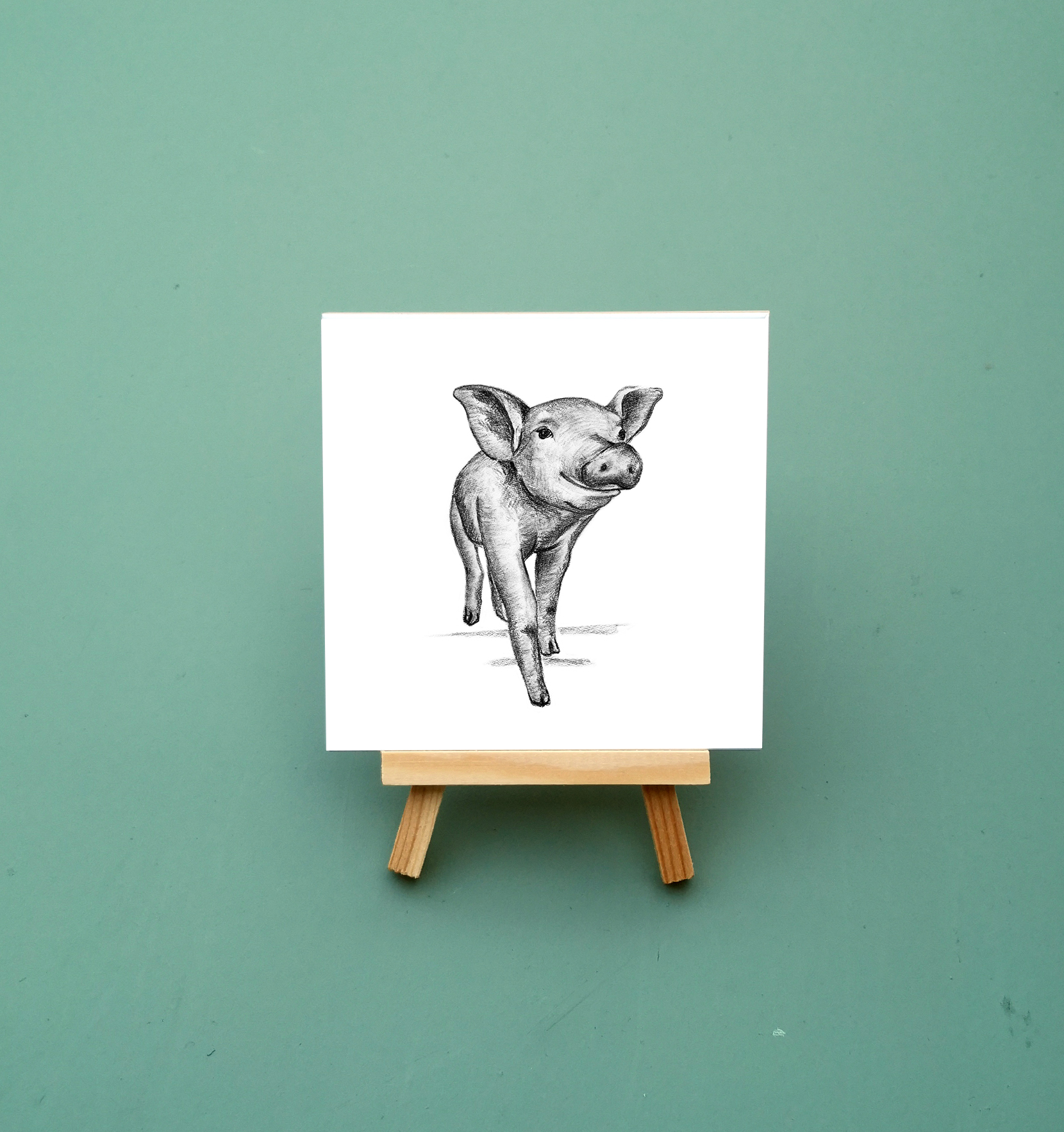 Zwart-Wit Tegeltje Varken
