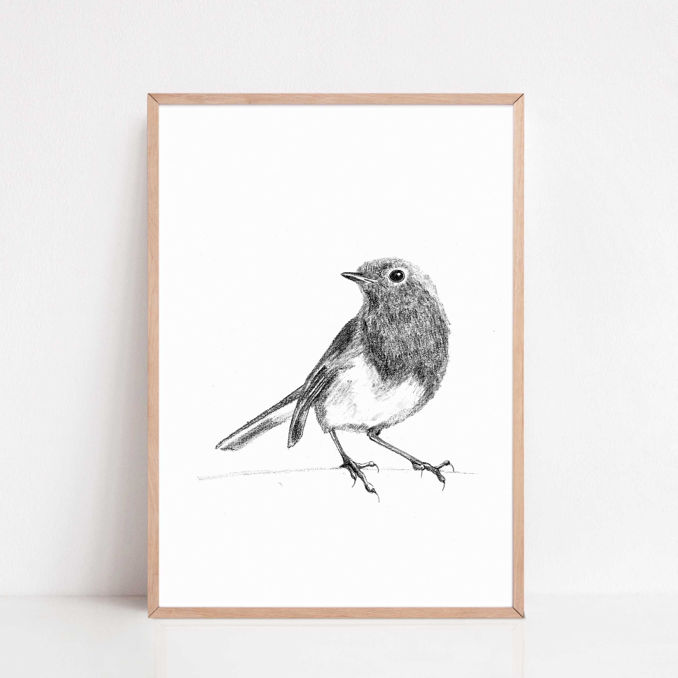Zwart-Wit Poster Roodborst