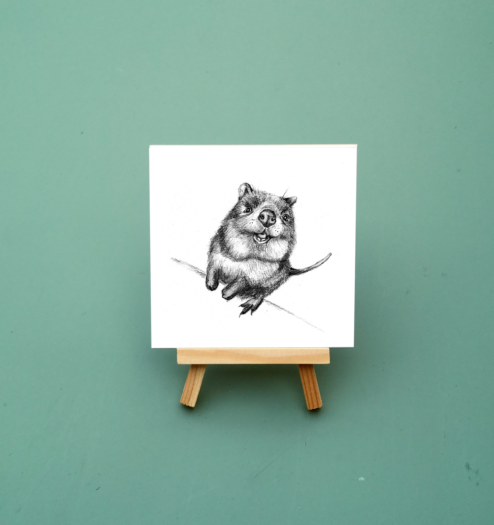 Zwart-Wit Tegeltje Quokka
