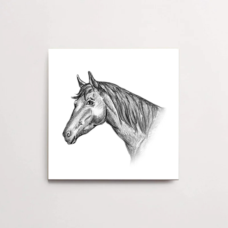 Zwart-Wit Tegeltje Paard