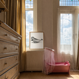 Zwart-Wit Poster Zeehond