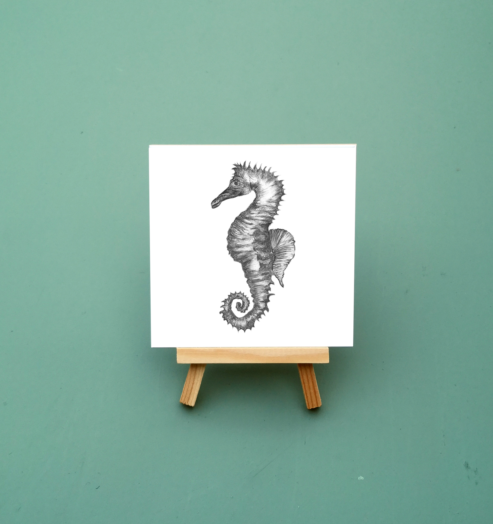 Zwart-wit Tegeltje Zeepaardje