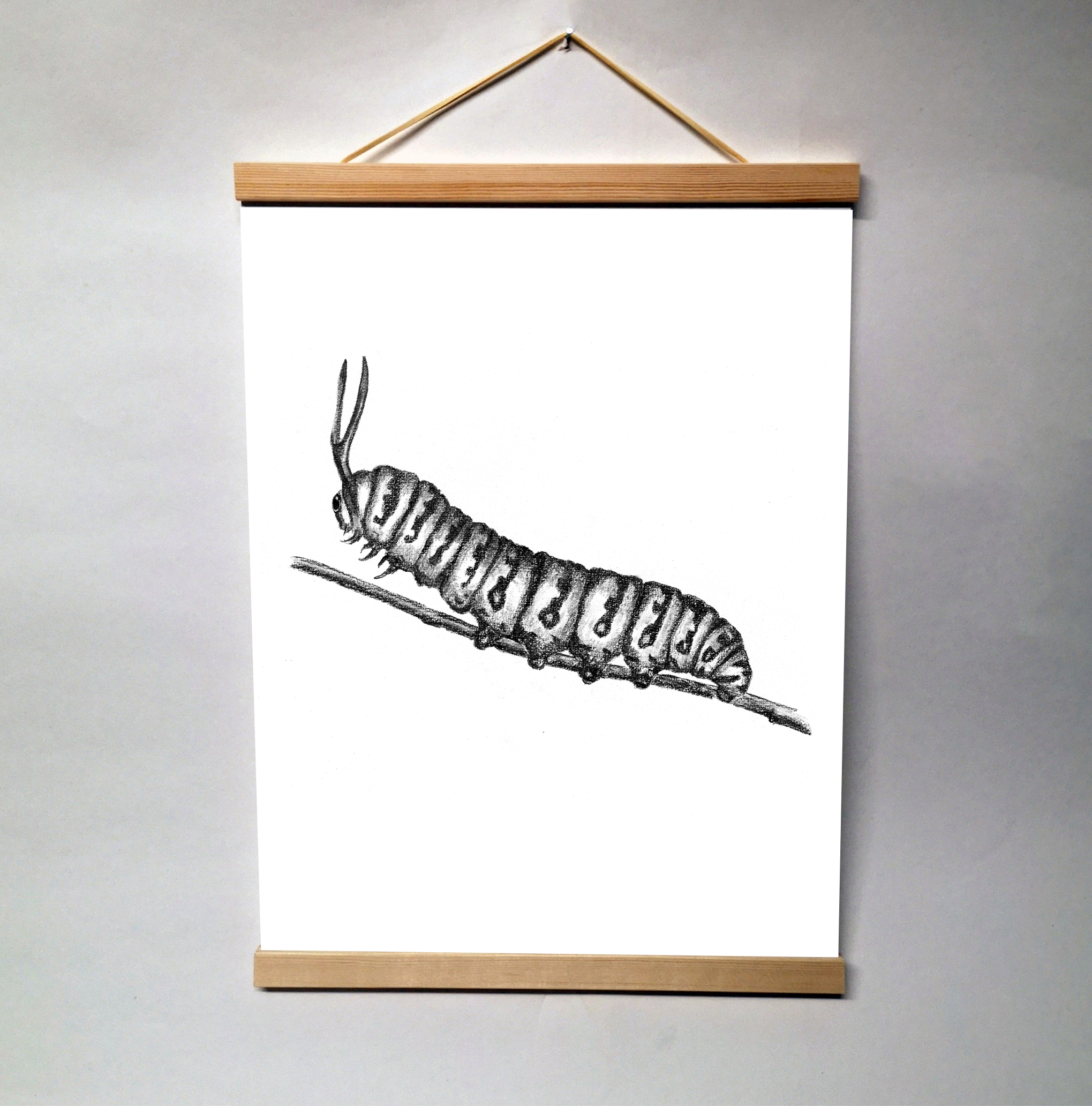 Zwart-Wit Poster Rups