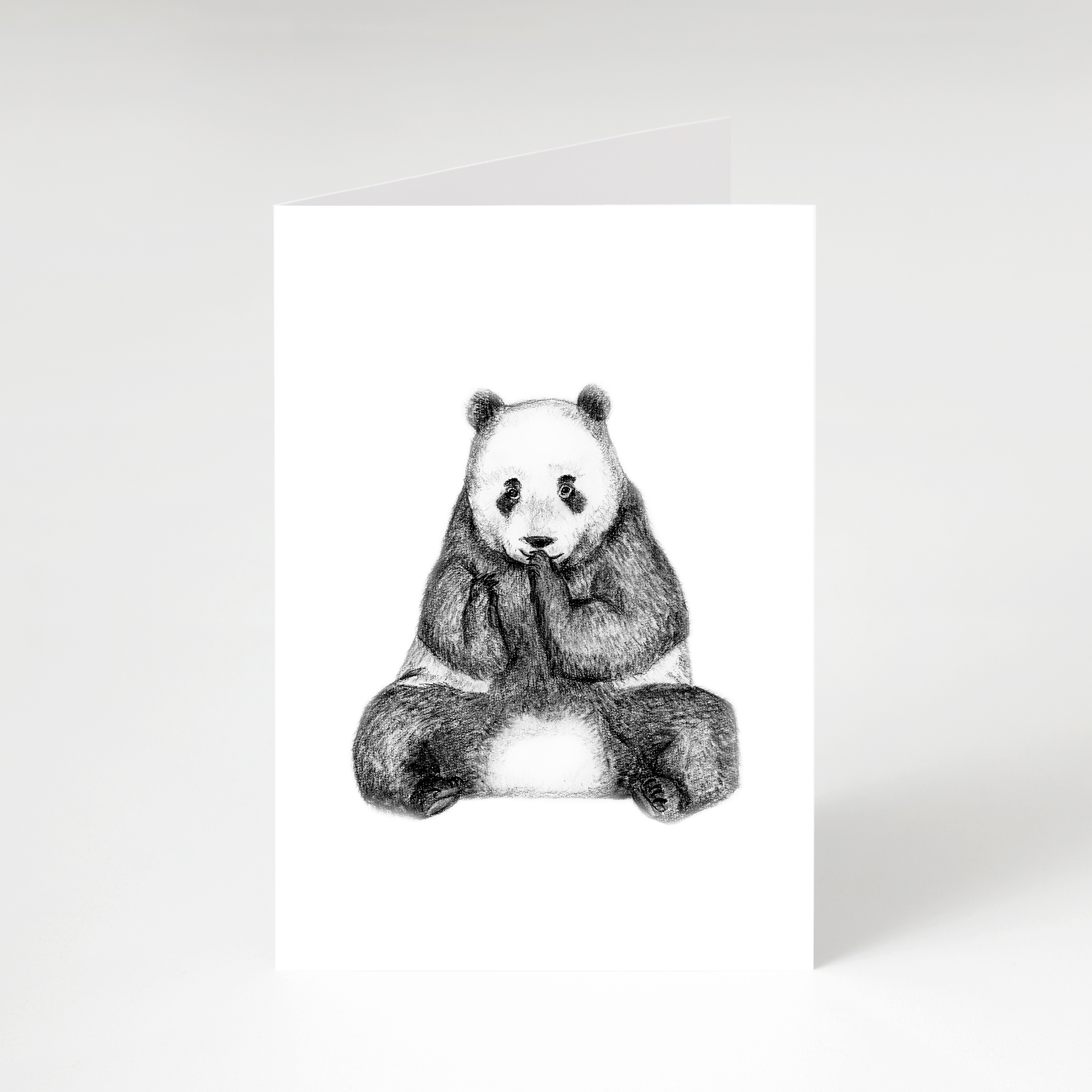 Zwart-Wit Wenskaart Reuzenpanda