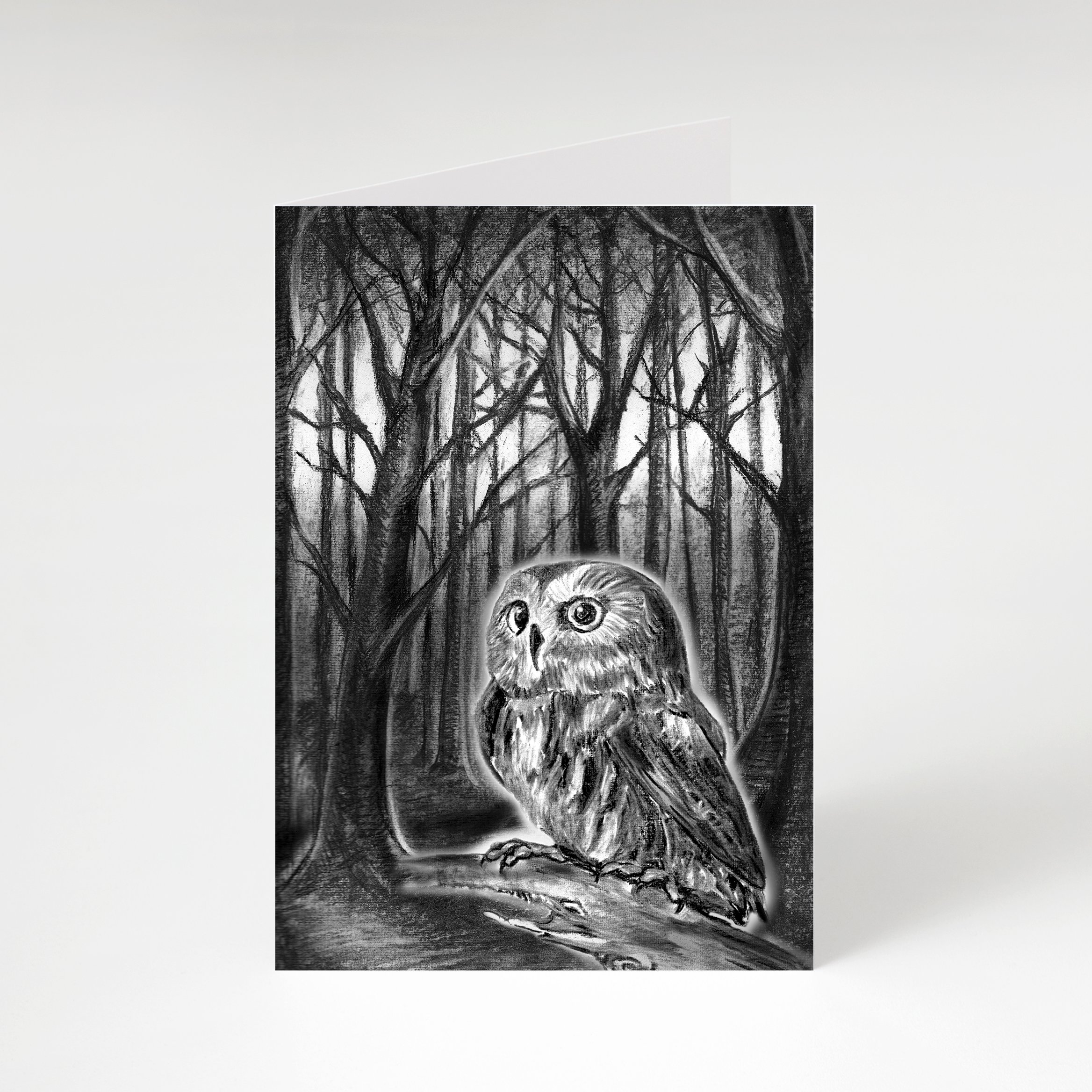 Dieren Met Achtergrond set