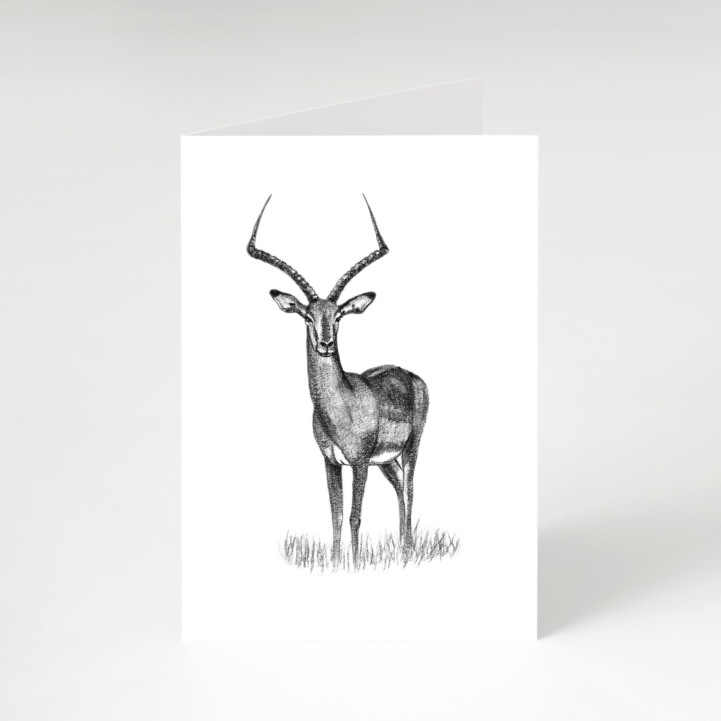 Zwart-wit wenskaart Impala