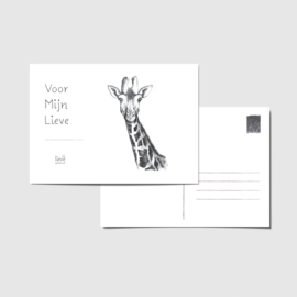 Zwart-wit ansichtkaart giraffe
