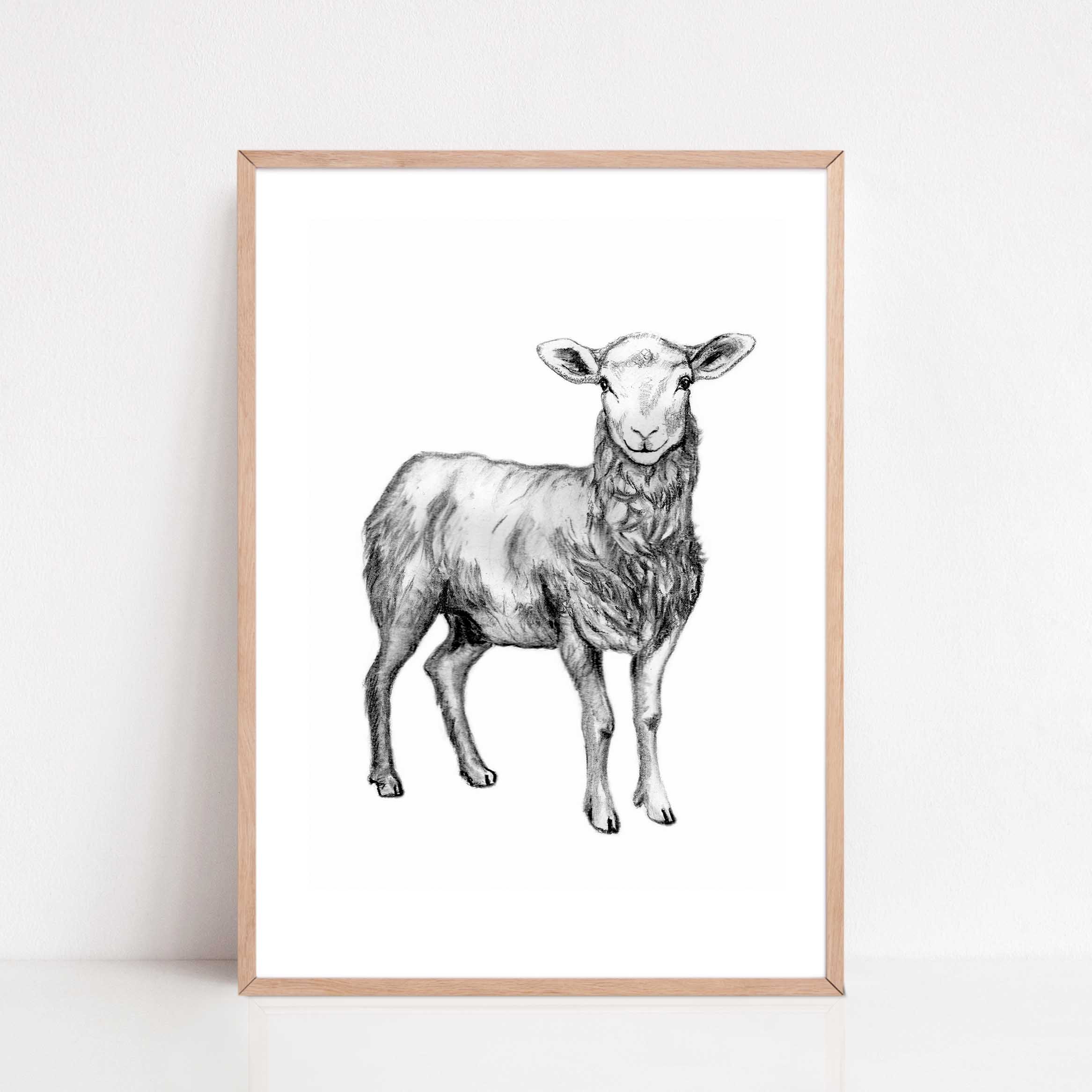 Zwart-Wit Poster Schaap