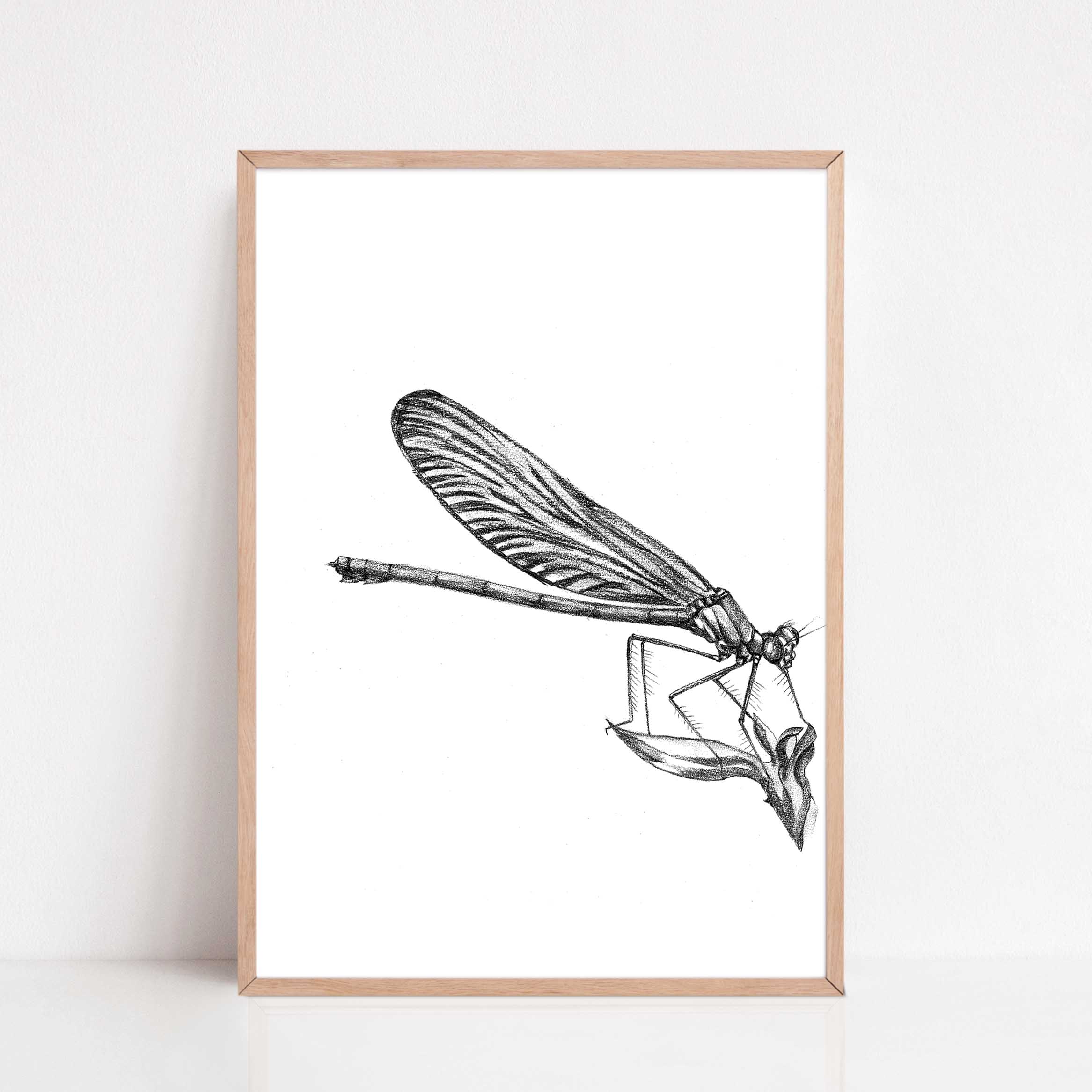 Zwart-Wit Poster Juffer