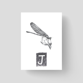 ABCkaart Juffer