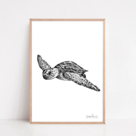 Zwart-Wit Poster Schildpad