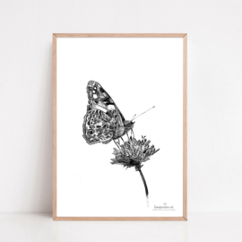 Zwart-Wit Poster Vlinder