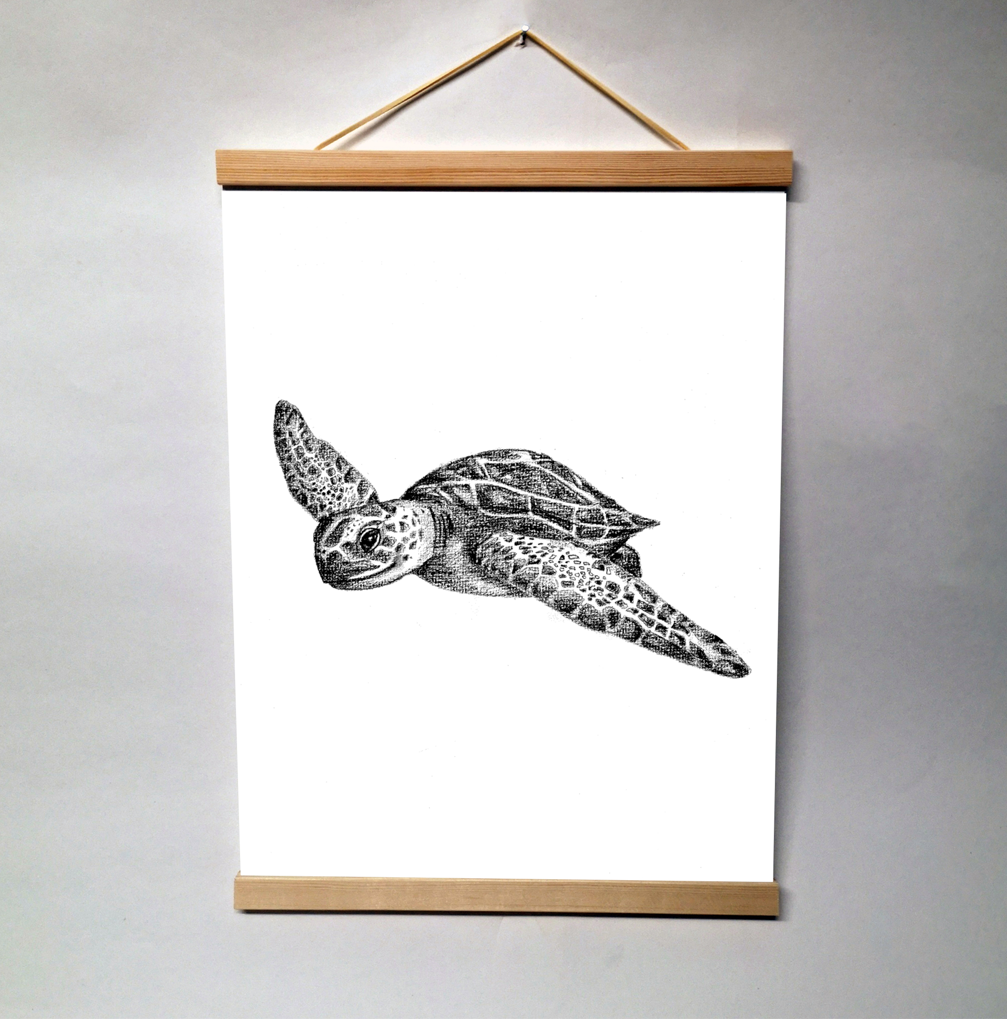 Zwart-Wit Poster Schildpad
