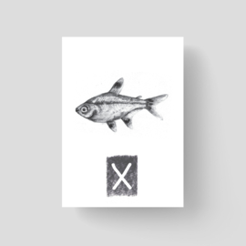 ABCKaart X-ray