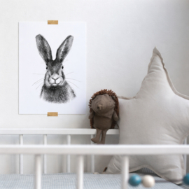 Zwart-Wit Poster Haas