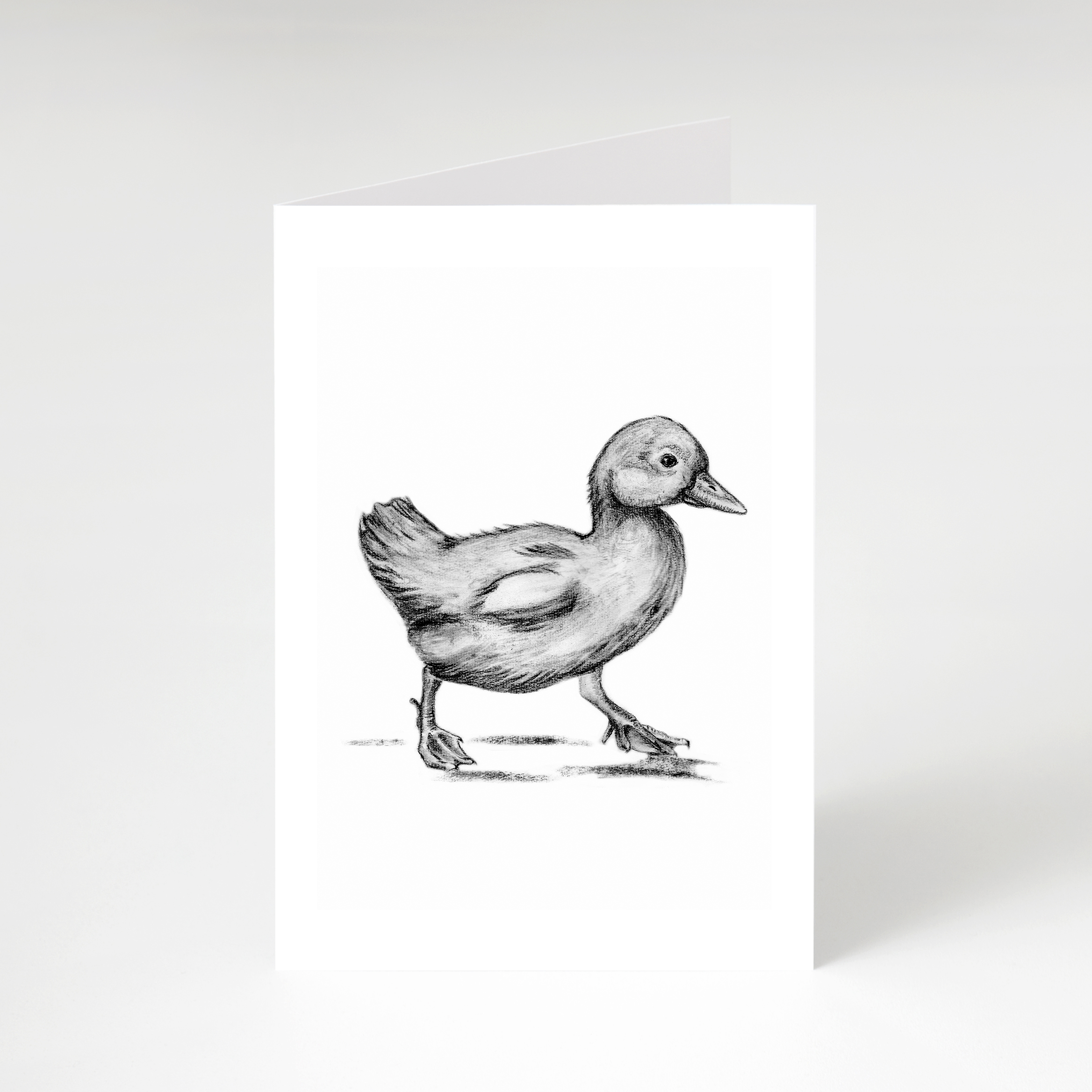 Zwart-Wit Wenskaart Eend