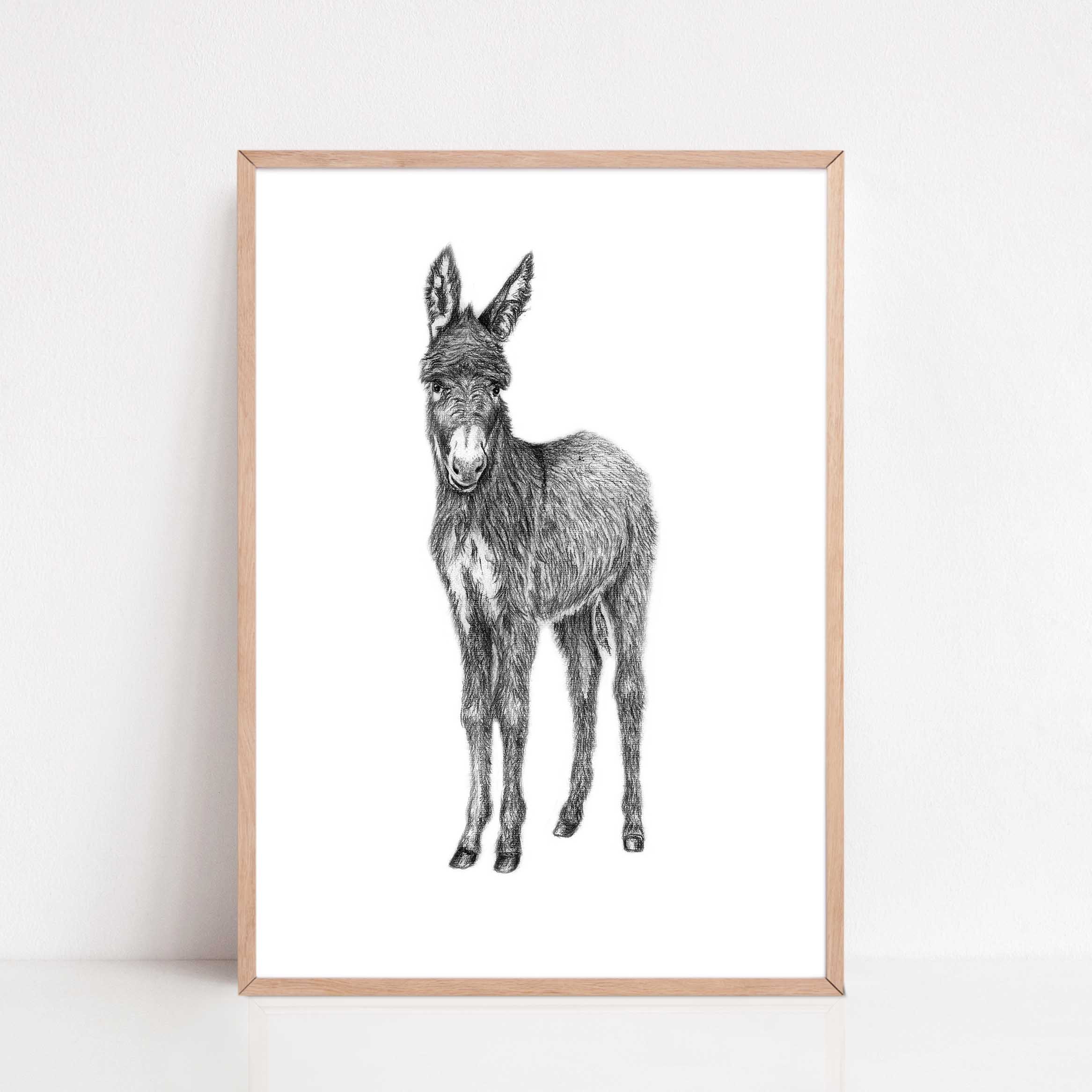 Zwart-Wit Poster Ezel