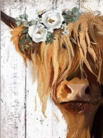 Diamondpainting Schotse Hooglander