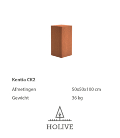 Sokkel Kentia CK2 Cortenstaal 50x50x100 cm.