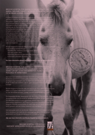Horse & Hunk Kalender 2025