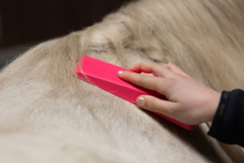 Paardenpraat Grooming Brush Medium Roze