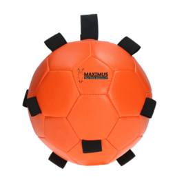 Excellent Horse Fun Play Ball | Oranje
