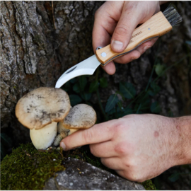 Gentlemen's Hardware Foraging Knife