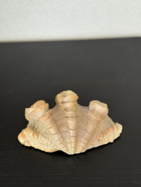 Ornament shell
