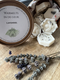 Limited Edition Waxmelts met echte Lavendel