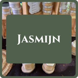 Jasmijn