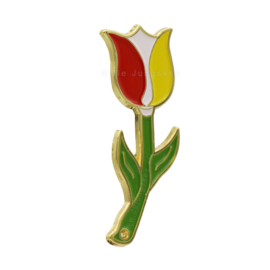 Pin Oeteldonkse tulp