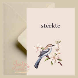 Kaart – Sterkte vogel roze bloem