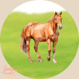 Sluitsticker – Paard