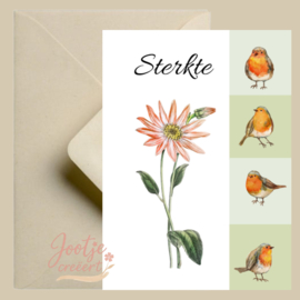 Kaart – Sterkte roodborstje