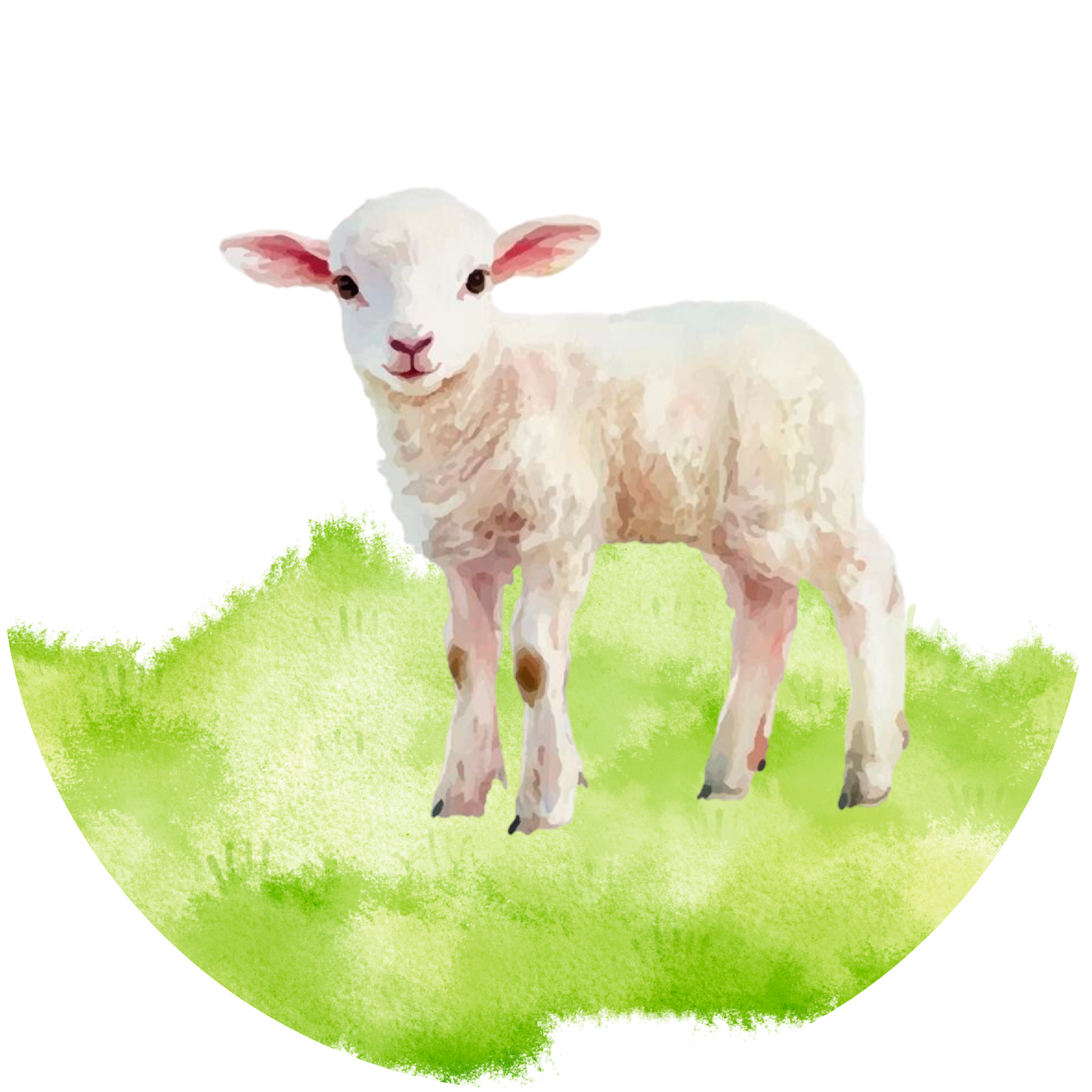 Sluitsticker – Lammetje
